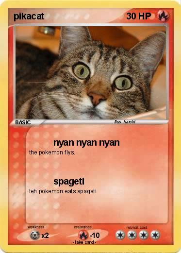 Pokemon pikacat