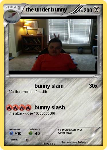 Pokemon the under bunny