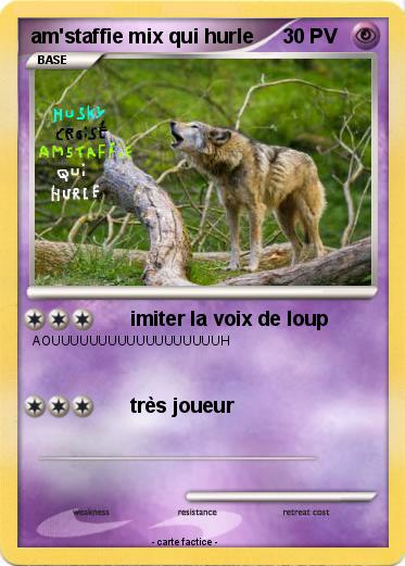 Pokemon am'staffie mix qui hurle