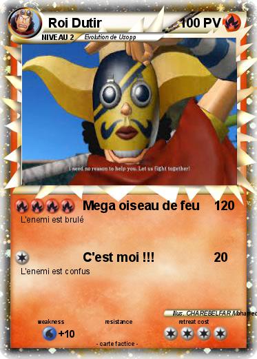 Pokemon Roi Dutir