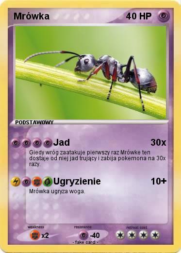 Pokemon Mrówka