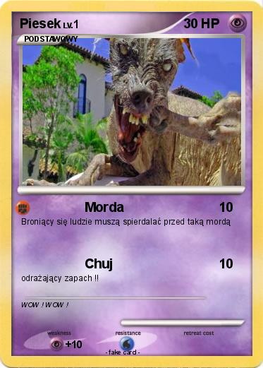 Pokemon Piesek