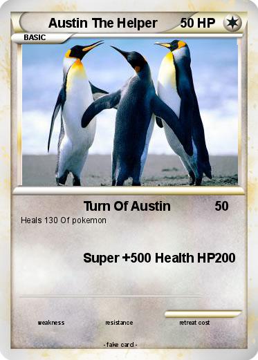 Pokemon Austin The Helper
