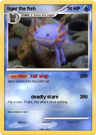 Pokemon tiger the fish