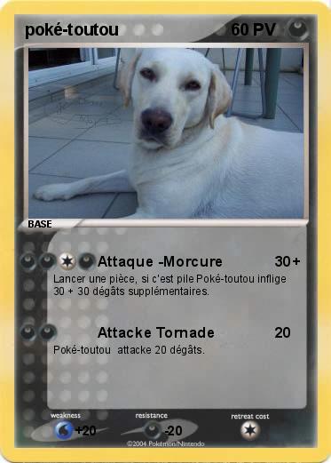 Pokemon poké-toutou