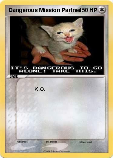 Pokemon Dangerous Mission Partner