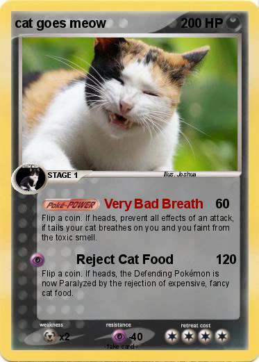 Pokemon cat goes meow