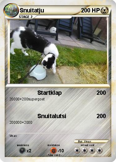 Pokemon Snuitatju