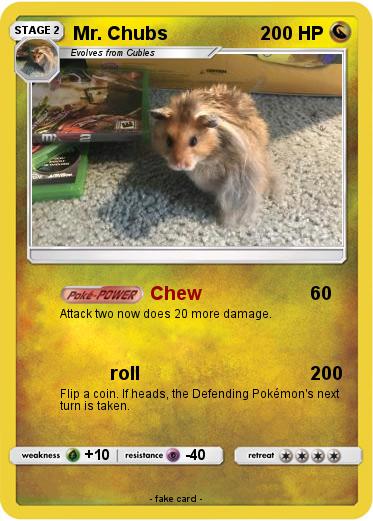 Pokemon Mr. Chubs