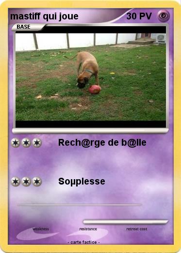Pokemon mastiff qui joue