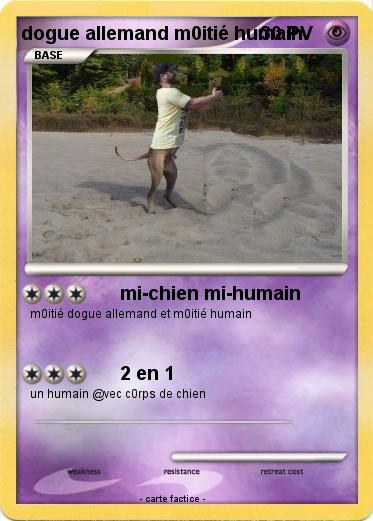 Pokemon dogue allemand m0itié humain