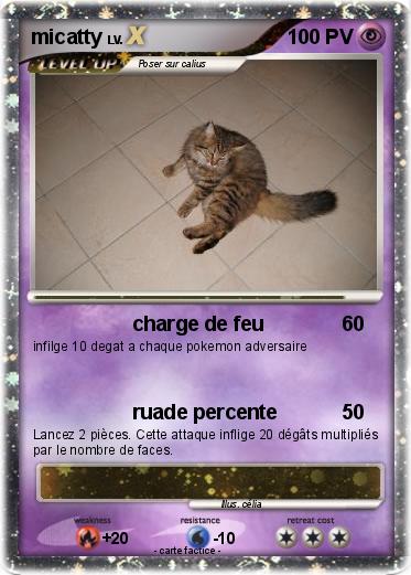 Pokemon micatty