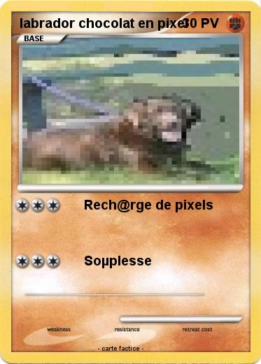 Pokemon labrador chocolat en pixel