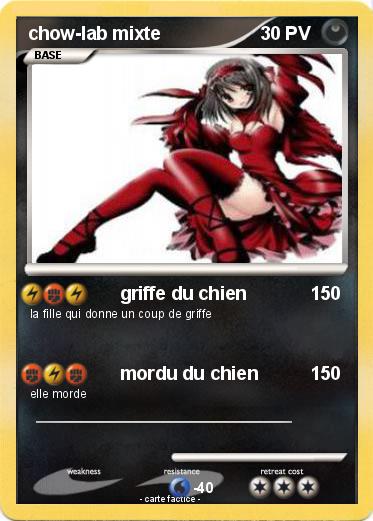 Pokemon chow-lab mixte