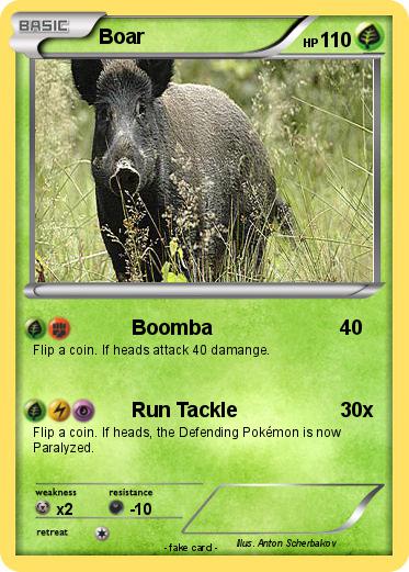 Pokemon Boar