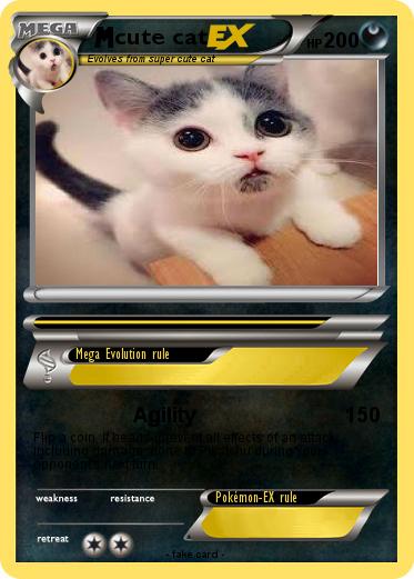 Pokemon cute cat