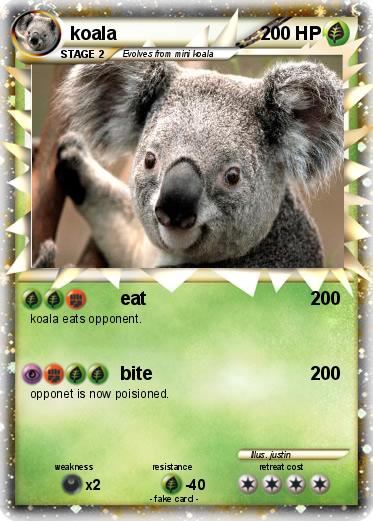 Pokemon koala