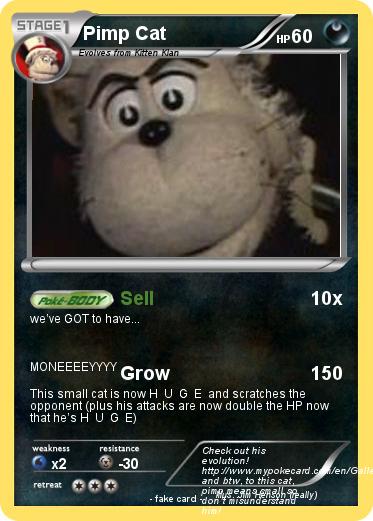 Pokemon Pimp Cat