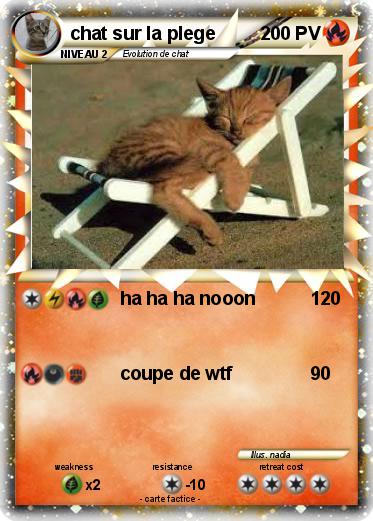 Pokemon chat sur la plege