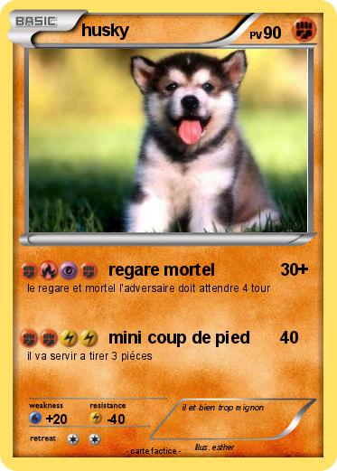 Pokemon husky