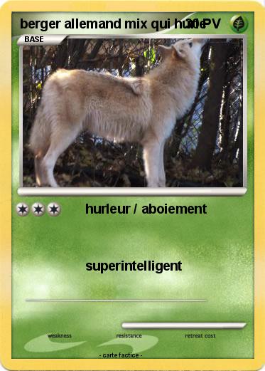 Pokemon berger allemand mix qui hurle