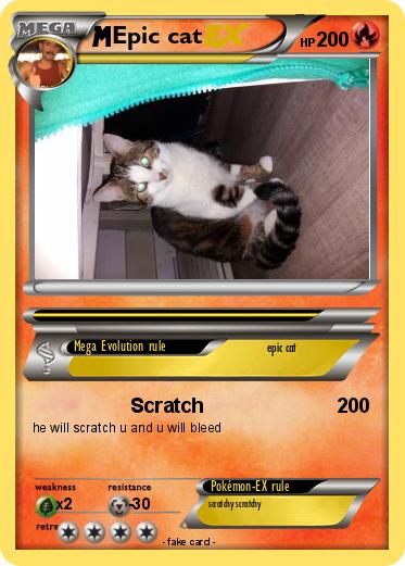 Pokemon Epic cat