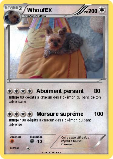 Pokemon WhoufEX