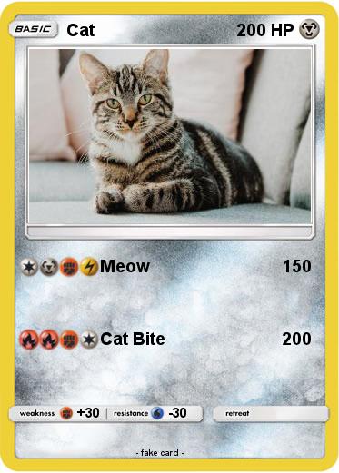 Pokemon Cat