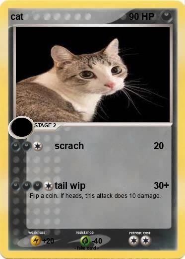 Pokemon cat