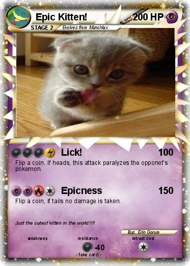 Pokemon Epic Kitten!
