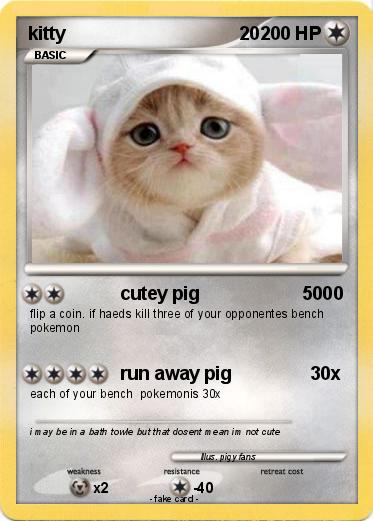 Pokemon kitty                                  20