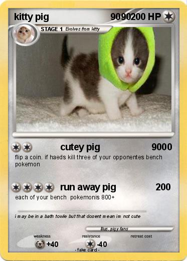 Pokemon kitty pig                        9090