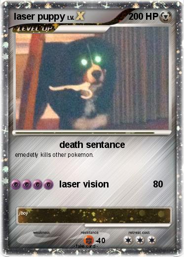 Pokemon laser puppy