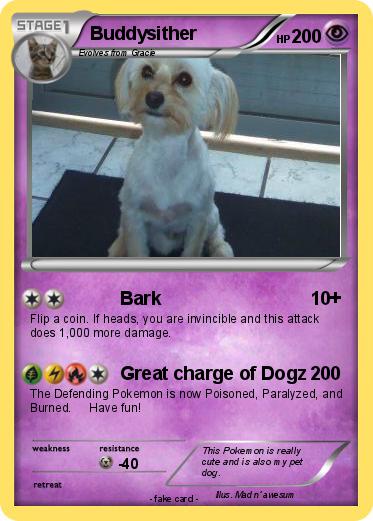 Pokemon Buddysither