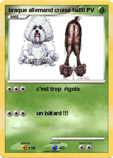 Pokemon braque allemand croisé fail