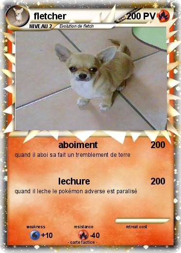 Pokemon fletcher