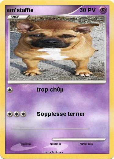 Pokemon am'staffie