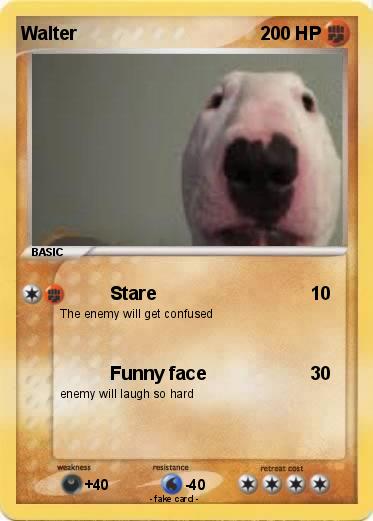 Pokemon Walter