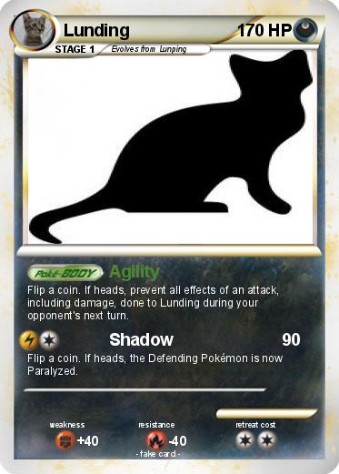 Pokemon Lunding