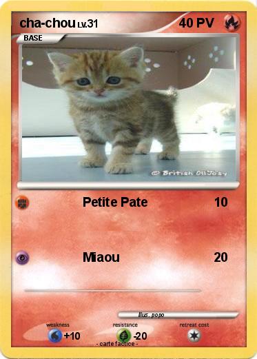 Pokemon cha-chou