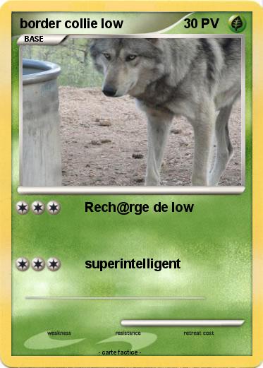 Pokemon border collie low