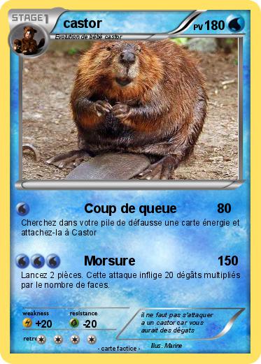 Pokemon castor