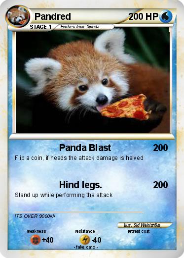 Pokemon Pandred