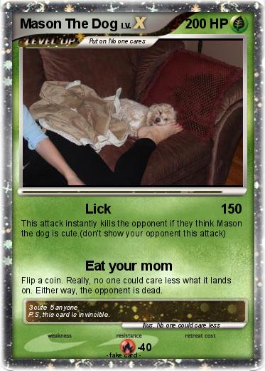 Pokemon Mason The Dog