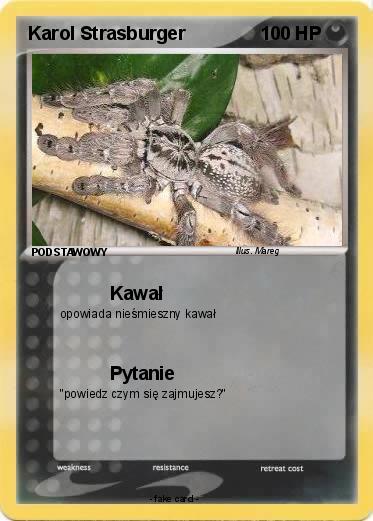 Pokemon Karol Strasburger