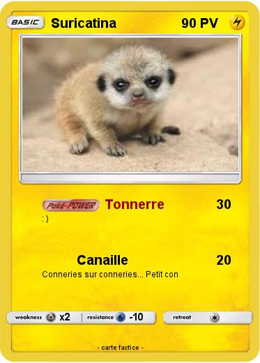 Pokemon Suricatina