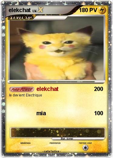 Pokemon elekchat