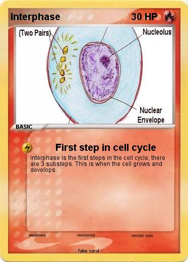 Pokemon Interphase