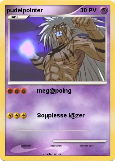 Pokemon pudelpointer