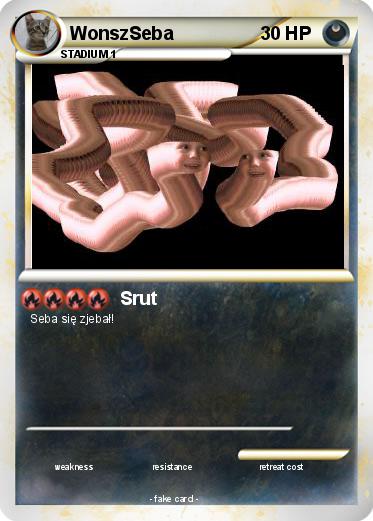 Pokemon WonszSeba